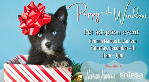 Neiman Marcus Event Promo (2)