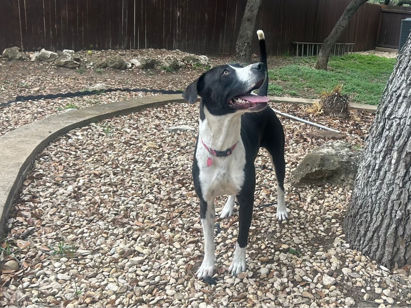 Missy site 4
