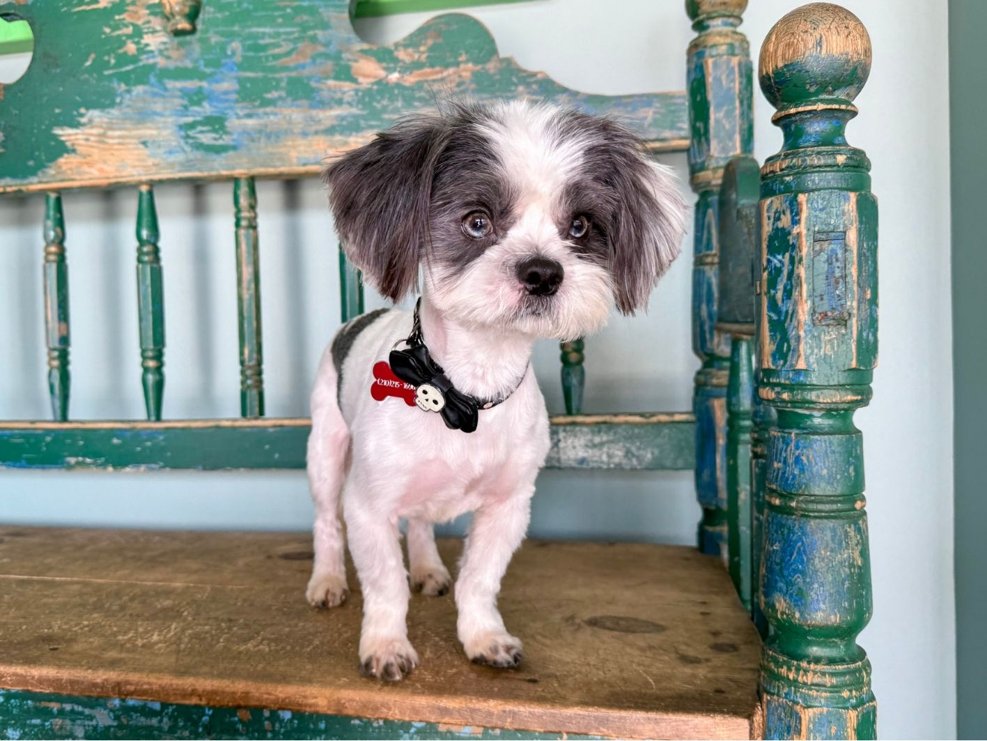 Albert updated site 3