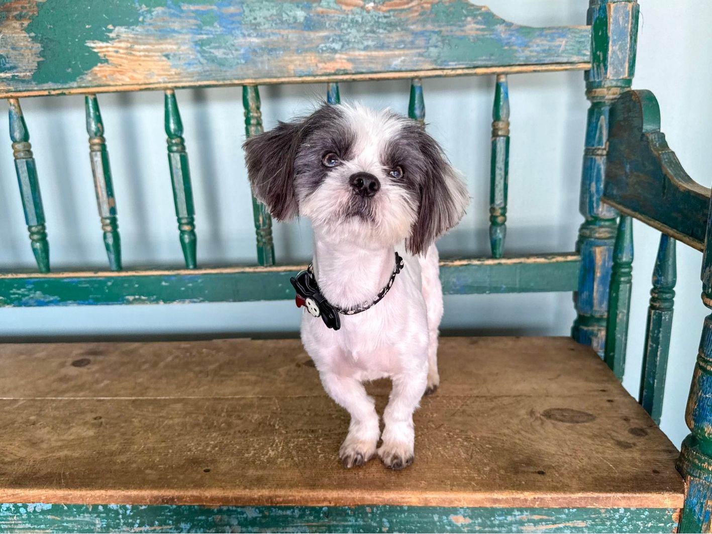Albert updated site 4