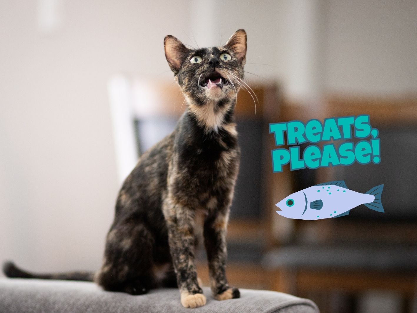 Pringles Foster New Site (1)
