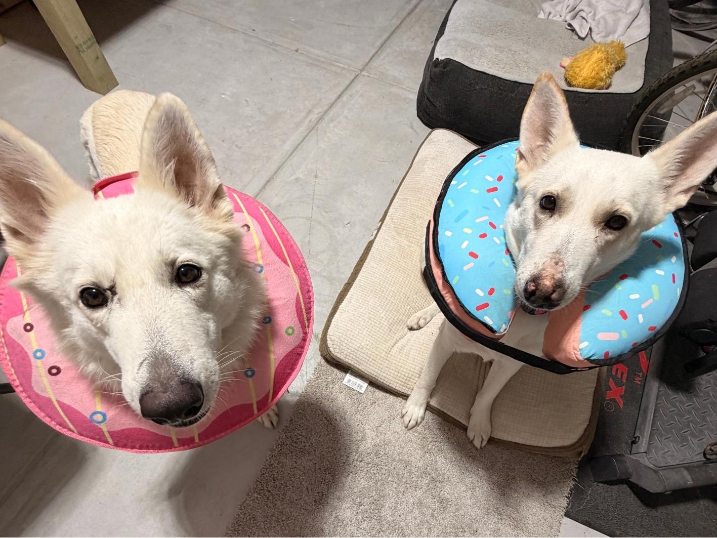 Alaska and Denali New Site