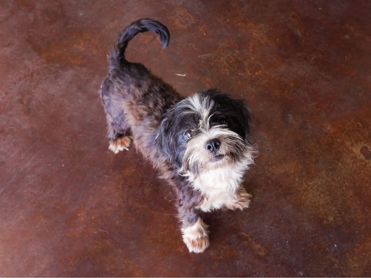 Besitos Site 2