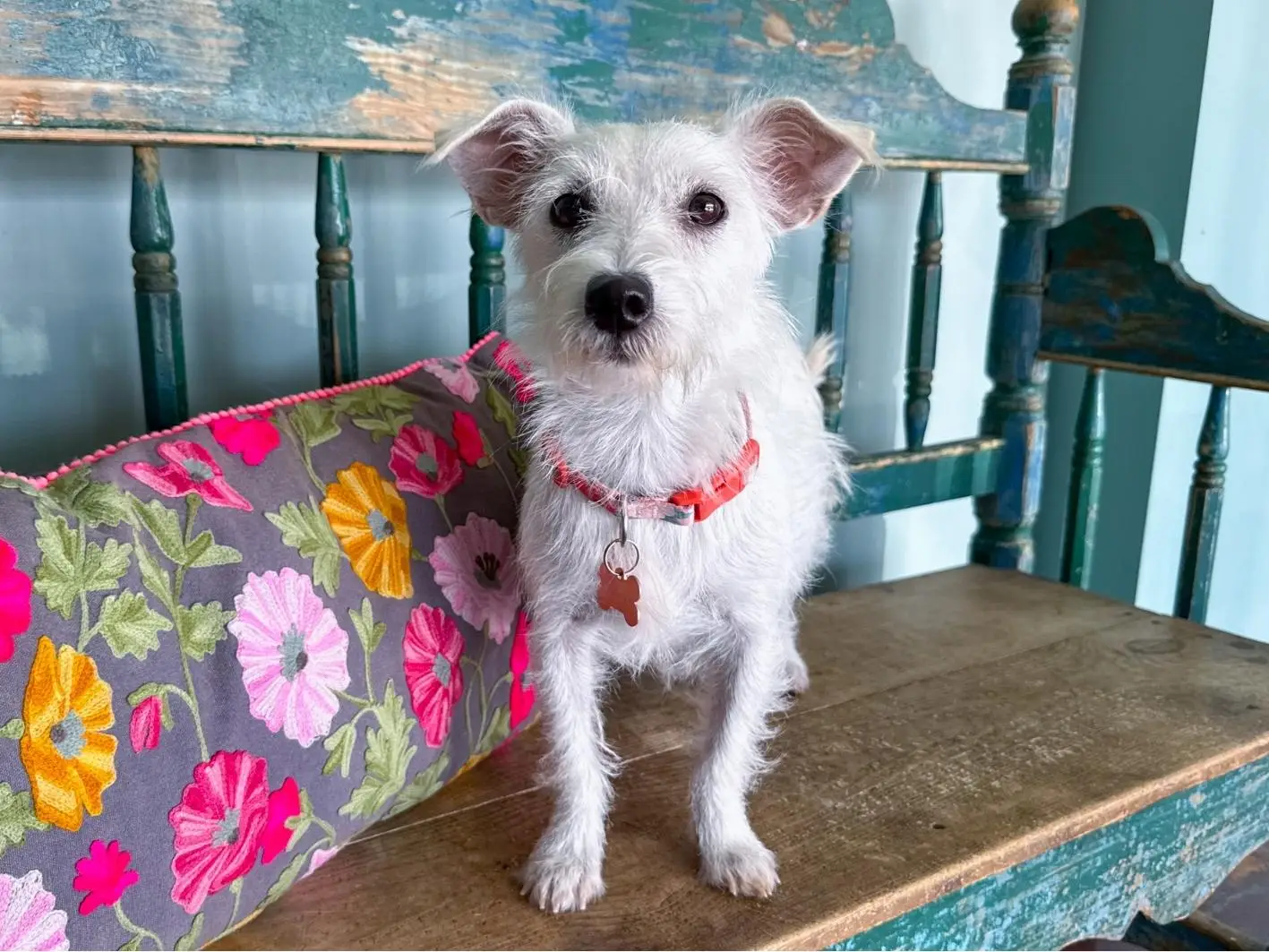 Dottie Site 3