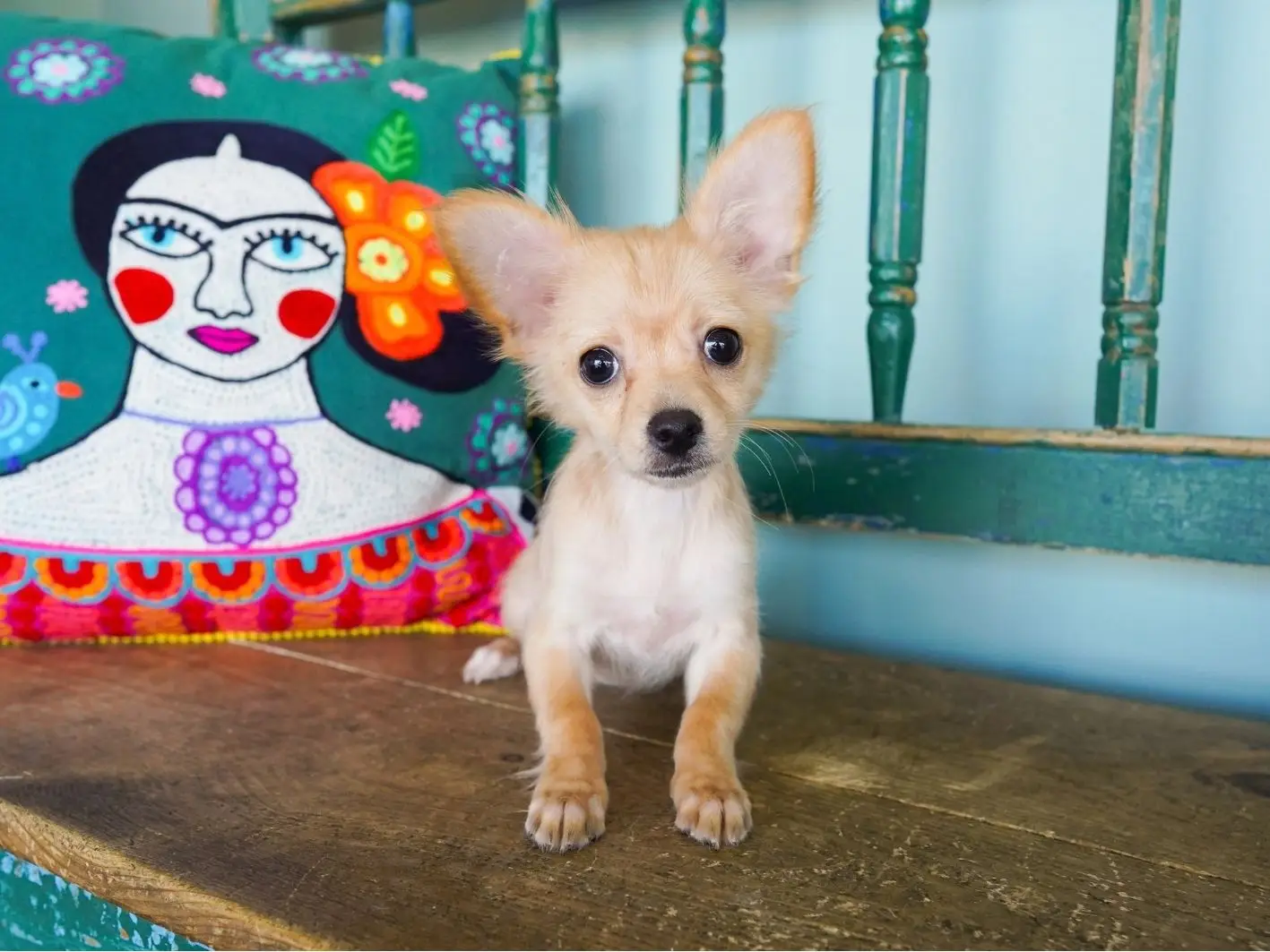 minnie Site 3