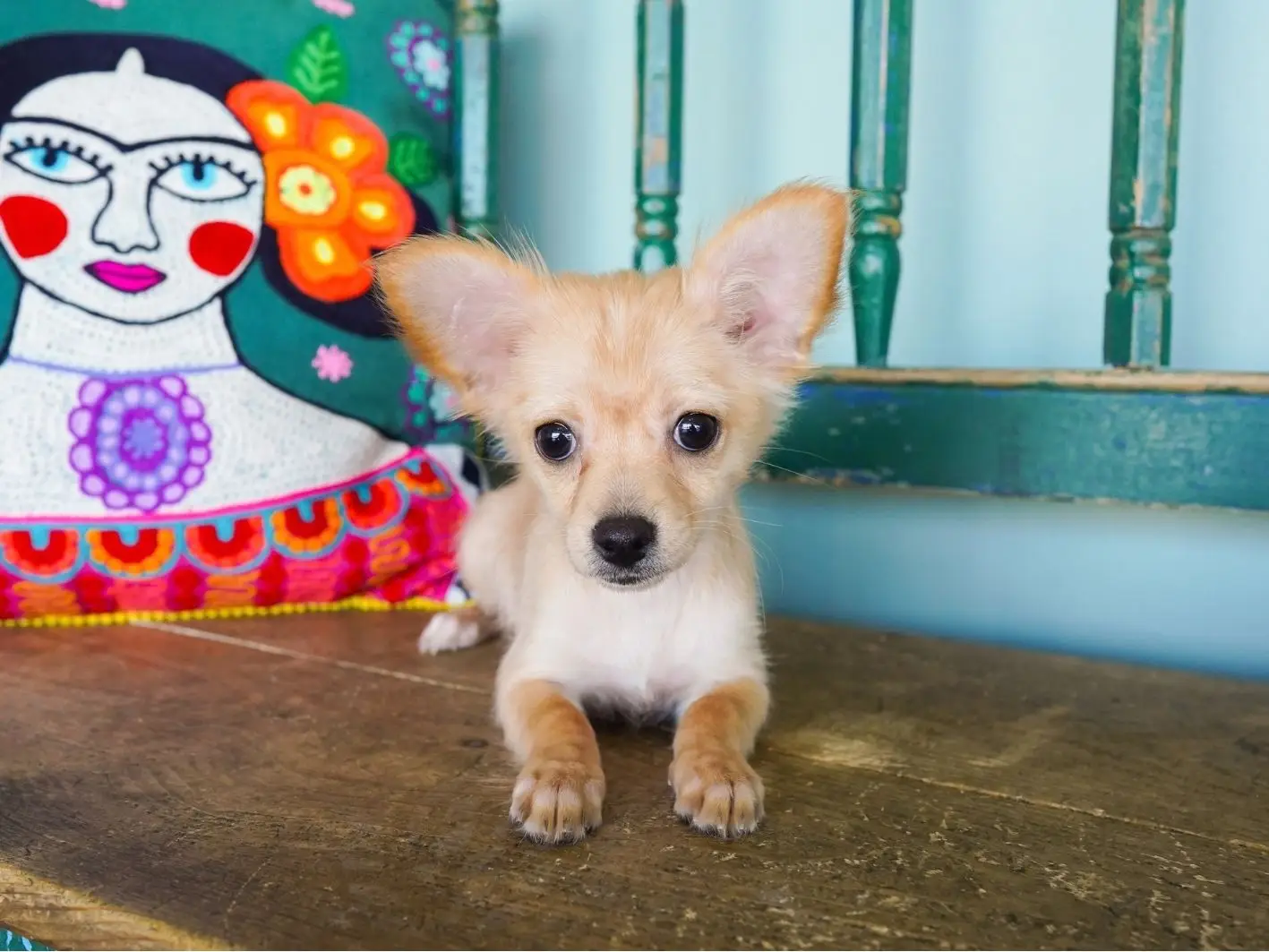 minnie Site